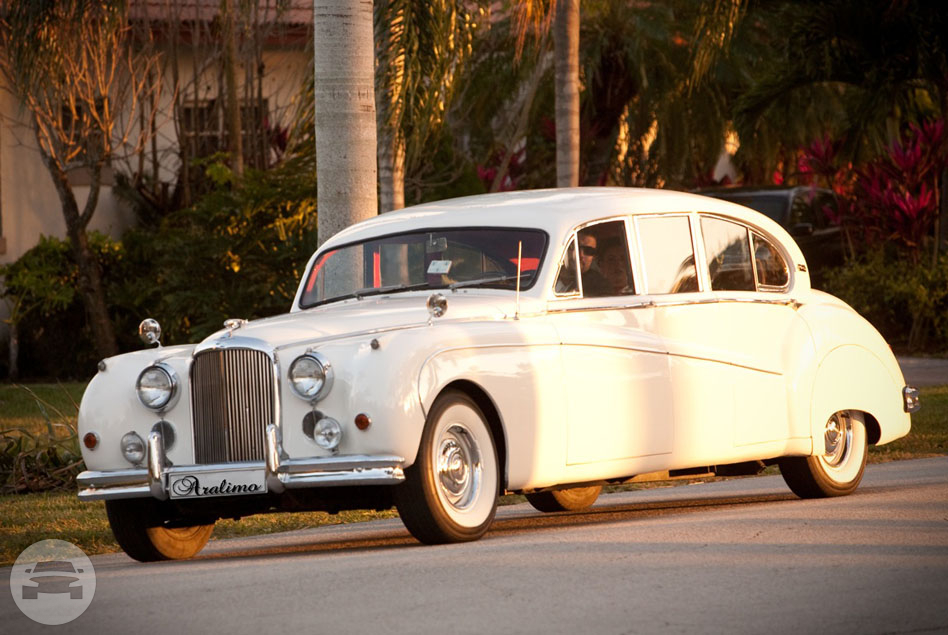 1960 WHITE JAG
Sedan /
Hialeah, FL

 / Hourly $0.00
