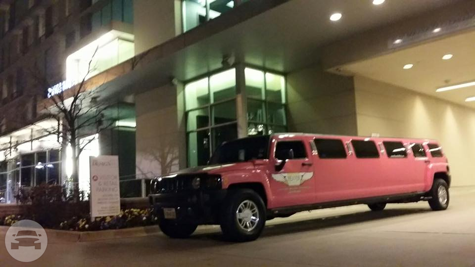 DFW's Pink Hummer Limo
Limo /
Irving, TX

 / Hourly $0.00
