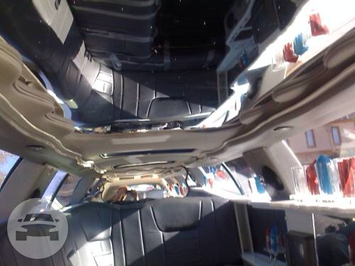 Lincoln Limousine Stretch (10 Passenger)
Limo /
Everett, WA

 / Hourly $0.00
