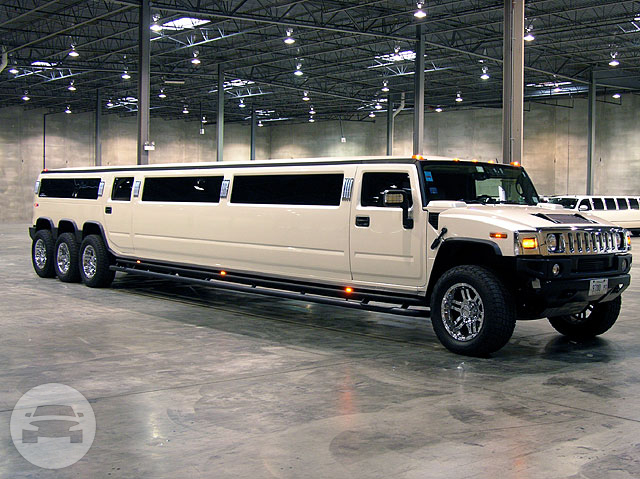 Triple Axle Hummer Limo
Hummer /
Chicago, IL

 / Hourly $0.00
