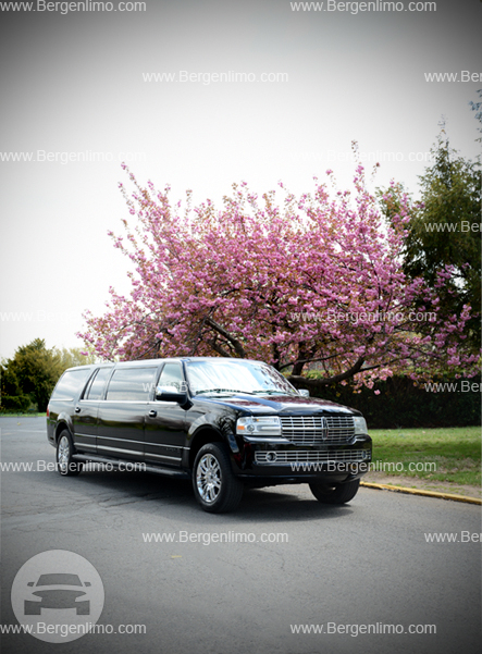 Executive Black Lincoln Navigator Limousine - 8 Passenger
Limo /
Paterson, NJ

 / Hourly $0.00
