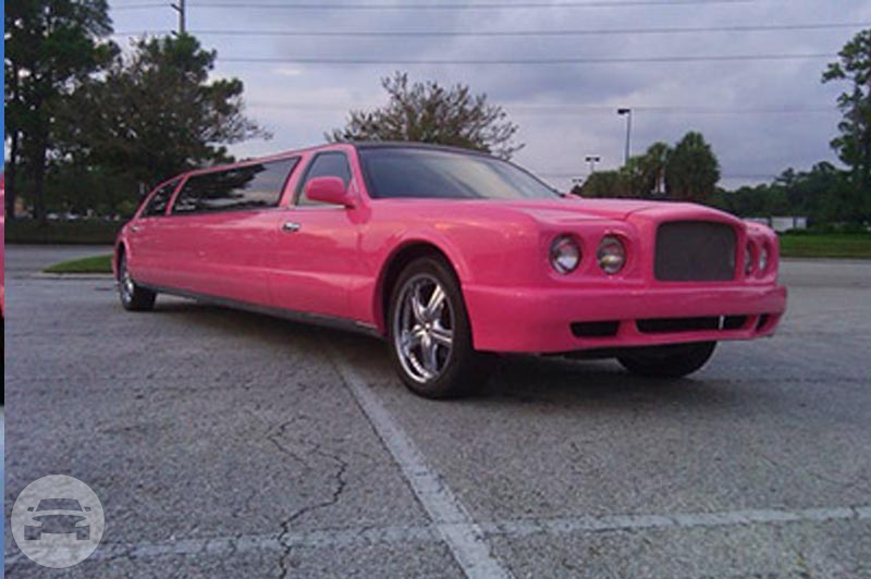 Bentley Model Pink Limos
Limo /
Jacksonville, FL

 / Hourly $0.00
