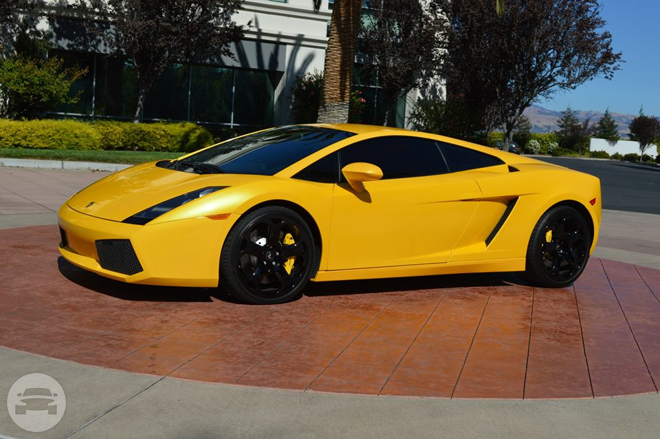 Lamborghini 
Sedan /
San Francisco, CA

 / Hourly $0.00
