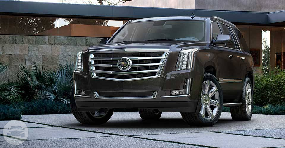 Cadillac Escalade SUV
SUV /
Hialeah, FL

 / Hourly $0.00
