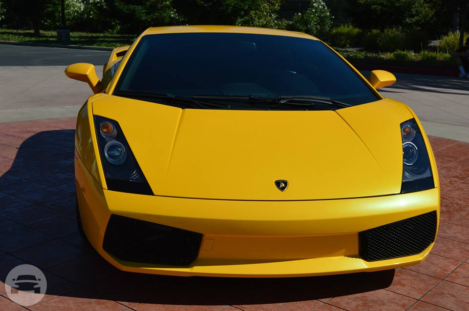 Lamborghini 
Sedan /
San Francisco, CA

 / Hourly $0.00
