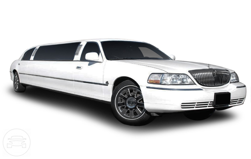 6-8 Passenger Stretch Limousines
Limo /
Chicago, IL

 / Hourly $0.00
