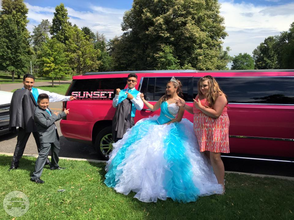 (20 Passenger) Pink Cadillac Escalade Gullwing
Limo /
Denver, CO

 / Hourly $0.00
