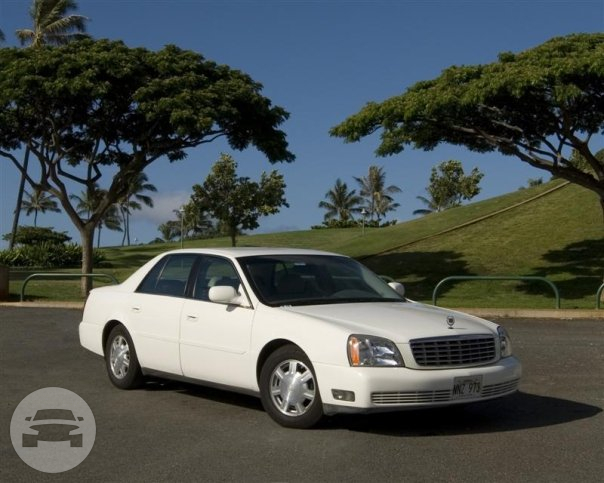 Royal Star Executive Sedan
Sedan /
Honolulu, HI

 / Hourly $0.00
