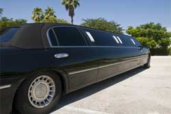 Limousines / Limos
Limo /
Stamford, CT

 / Hourly $0.00
