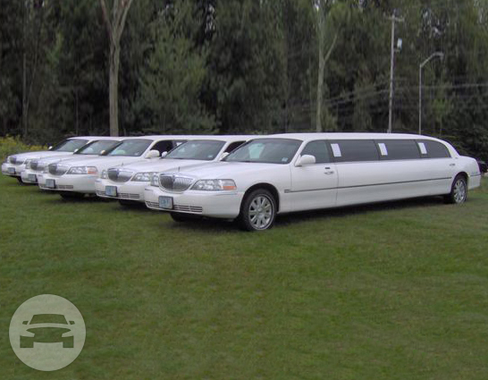 Lincoln Stretch Limousines
Limo /
Windham, NH

 / Hourly $0.00

