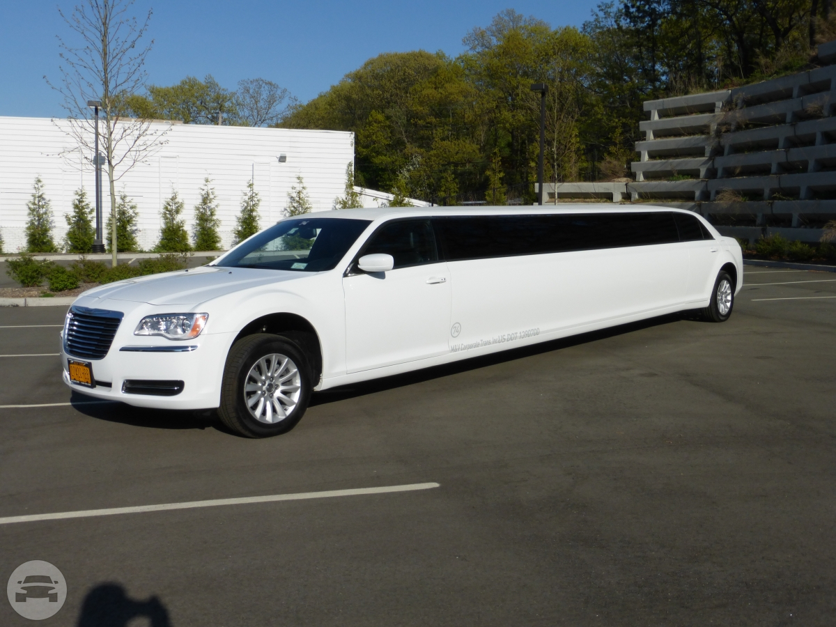 Chrysler 300 15 passenger Limousine with jet door and fifth door
Limo /
New York, NY

 / Hourly $0.00
