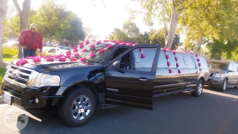 14 PASSENGER EXPEDITION LIMO
Limo /
San Francisco, CA

 / Hourly $0.00
