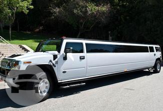 Hummer H2 Limousine
Hummer /
Dallas, TX

 / Hourly $0.00
