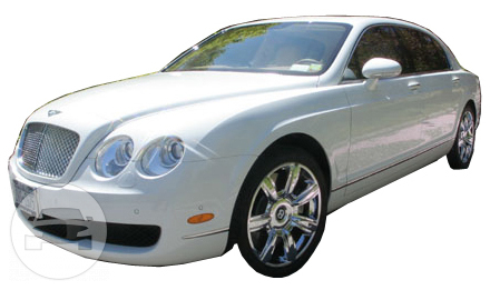 Bentley Spur Sedan
Sedan /
New York, NY

 / Hourly $0.00
