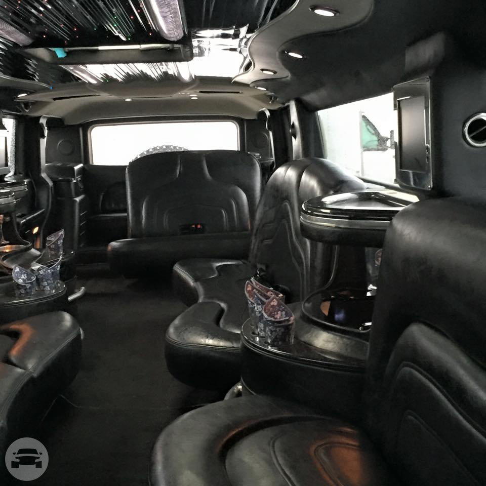 BLACK HUMMER STRETCH LIMO
Hummer /
Kissimmee, FL

 / Hourly $0.00
