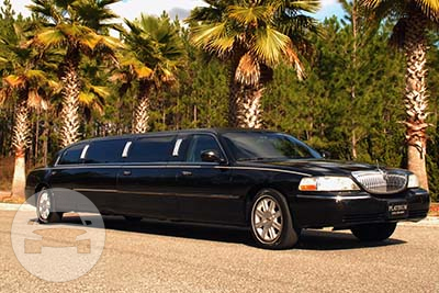 Luxury Stretch Limousine
Limo /
Jacksonville, FL

 / Hourly $0.00
