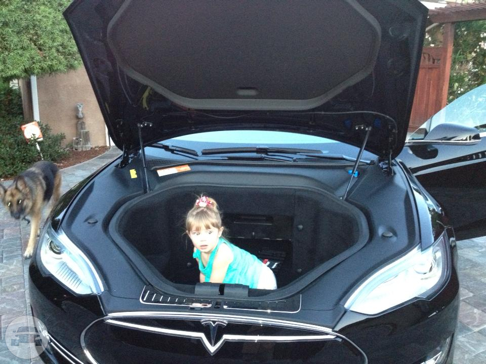 4 Passenger Tesla Electric Model S
Sedan /
San Francisco, CA

 / Hourly $0.00
