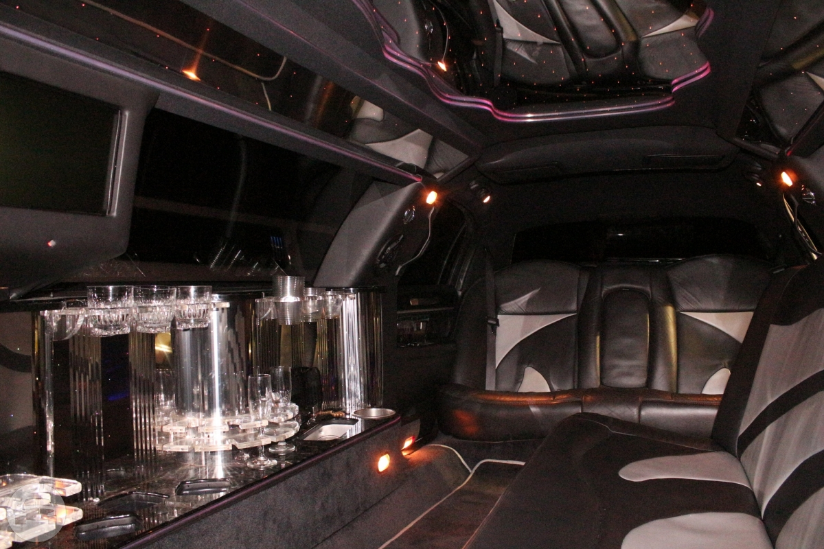 The White Stretch 10 Passengers Limousine
Limo /
Dallas, TX

 / Hourly $0.00
