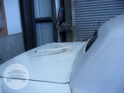 14 Passenger Hot Tub Limo
Limo /
Brentwood, CA 94513

 / Hourly $0.00
