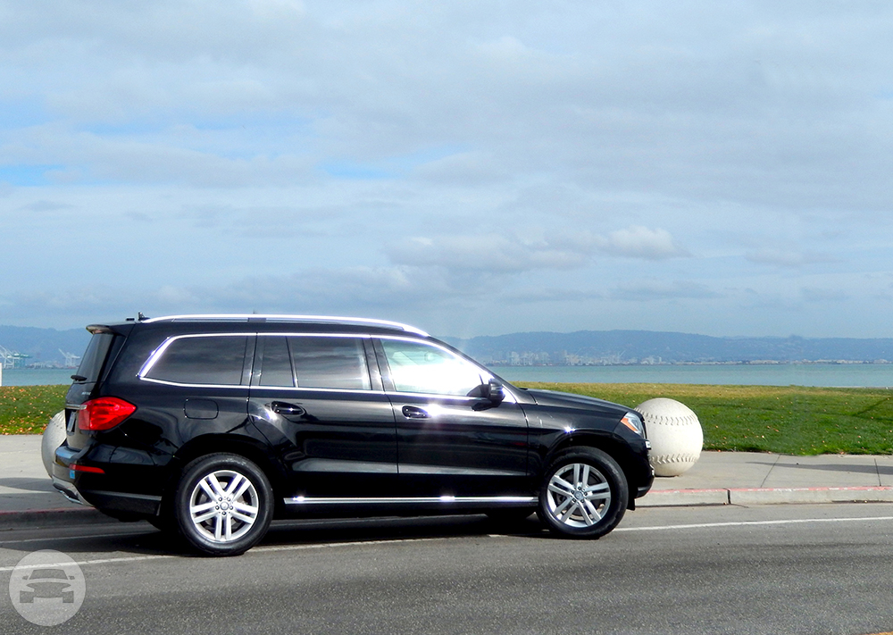 Executive SUV Style 2 (seats up to 5 passengers)
Sedan /
San Francisco, CA

 / Hourly $110.00
