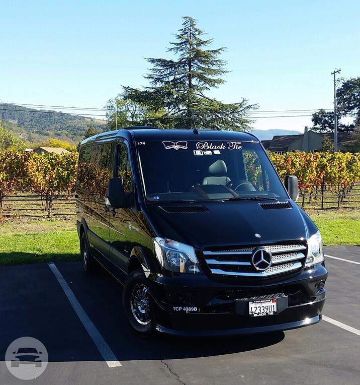 Mercedes Executive Limo Van 6
Van /
San Francisco, CA

 / Hourly $0.00

