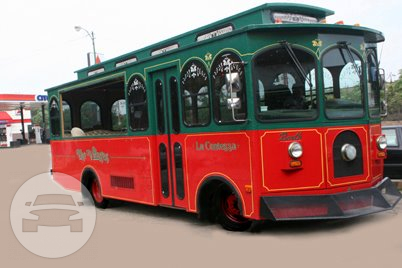 TROLLEY 737/Orlando 25 Passenger
Coach Bus /
Chicago, IL

 / Hourly $183.00
