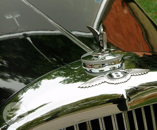 1954 Bentley Standard Saloon7
Sedan /
Kansas City, MO

 / Hourly $0.00
