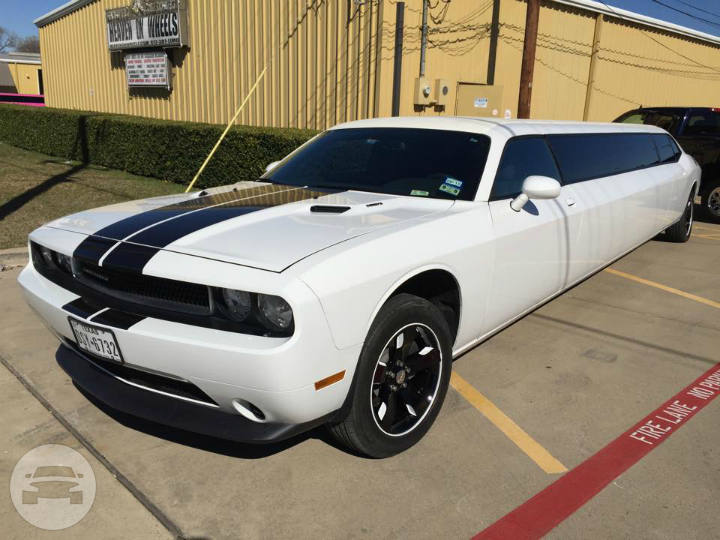 White Dodge Challenger Limo
Limo /
Dallas, TX

 / Hourly $0.00
