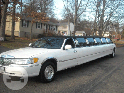 Lincoln Towncar Stretch 
Limo /
Devine, TX 78016

 / Hourly $0.00
