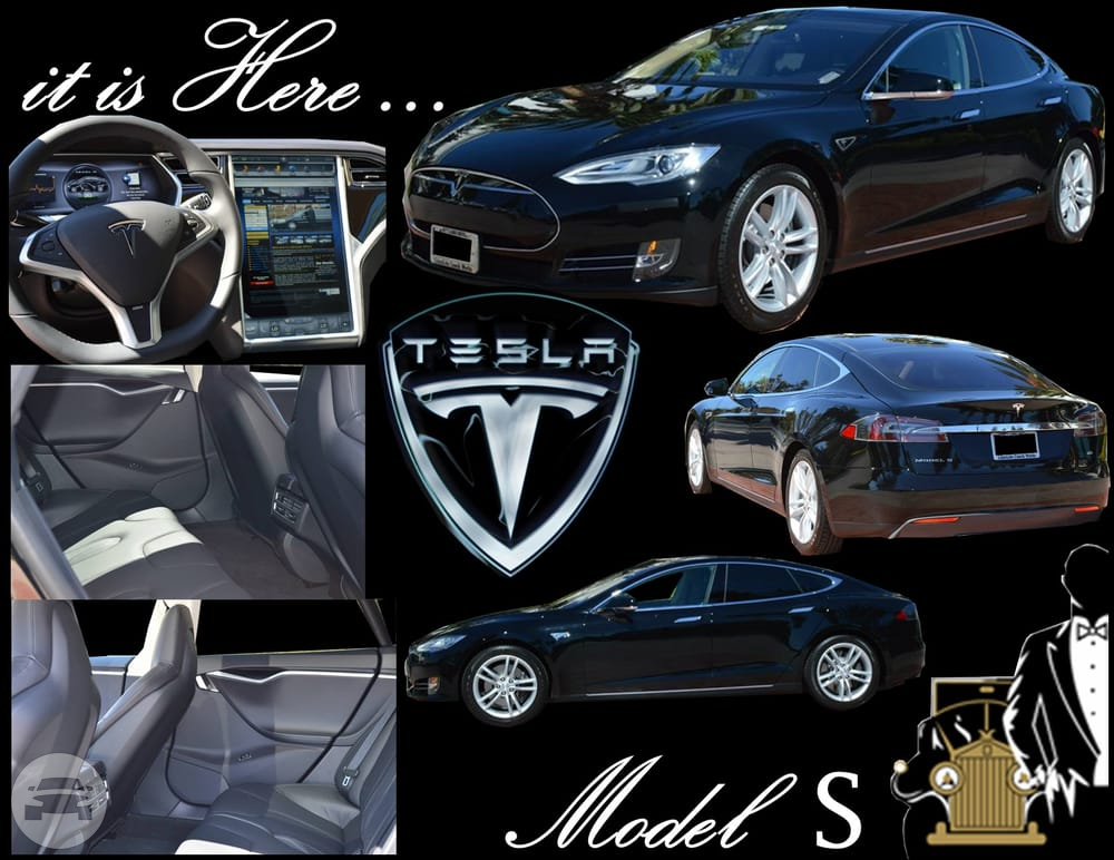 4 Passenger Tesla Electric Model S
Sedan /
San Francisco, CA

 / Hourly $0.00

