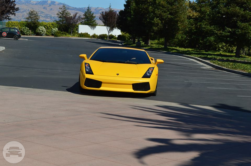 Lamborghini 
Sedan /
San Francisco, CA

 / Hourly $0.00
