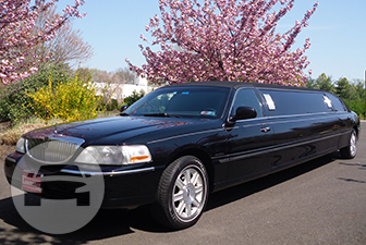 Black Lincoln Stretch Sedan Limousine
Limo /
Philadelphia, PA

 / Hourly $0.00
