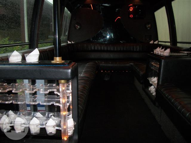 Small Party Limo Bus
Party Limo Bus /
Houston, TX

 / Hourly $0.00
