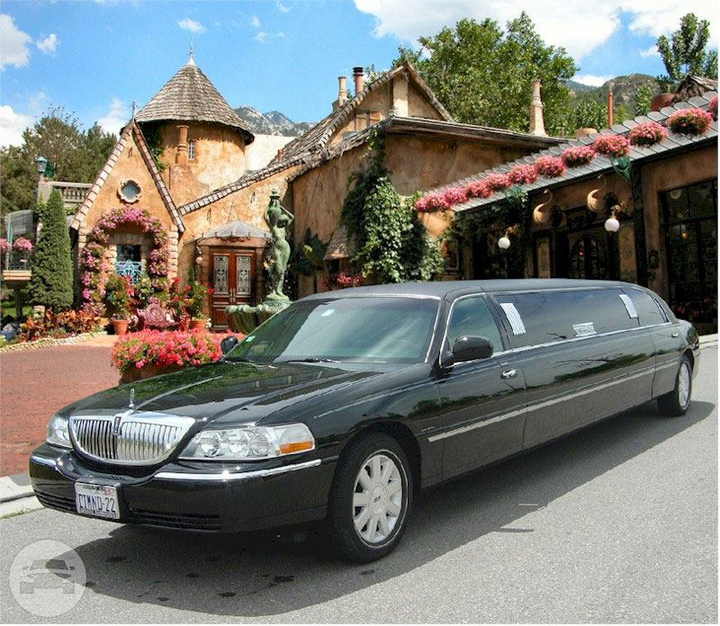 Black Stretch Limousine
Limo /
San Francisco, CA

 / Hourly $0.00
