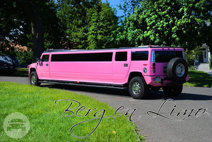 Hummer H2 Exotic Pink Limo
Hummer /
Paterson, NJ

 / Hourly $0.00
