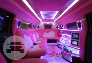 12 passenger H3 Pink
Hummer /
Columbus, OH

 / Hourly $0.00
