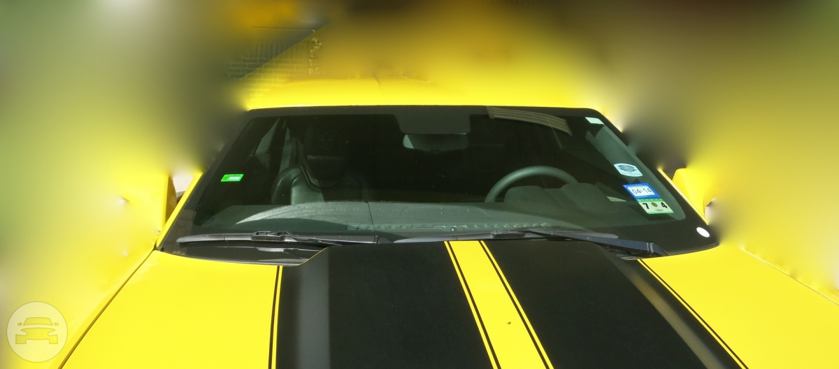 The Yellow Camaro 8 Passengers Classy Limousine
Limo /
Dallas, TX

 / Hourly $0.00
