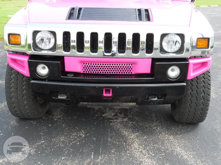 Pink H2 Hummer #95
Hummer /
Cincinnati, OH

 / Hourly $150.00
