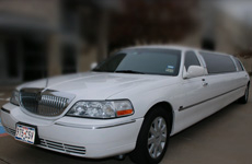 Stretch Limousine- Cosmo
Limo /
Dallas, TX

 / Hourly $119.00
