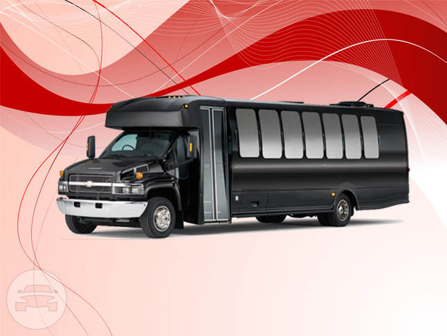 2014 32 Passenger Party Bus
- /
Phoenix, AZ

 / Hourly $0.00
