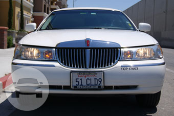 6-8 Passenger White Lincoln Limousine
Limo /
San Ramon, CA

 / Hourly $0.00

