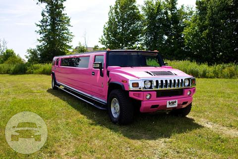 Pink H2 Hummer Limousine
Hummer /
Detroit, MI

 / Hourly $0.00
