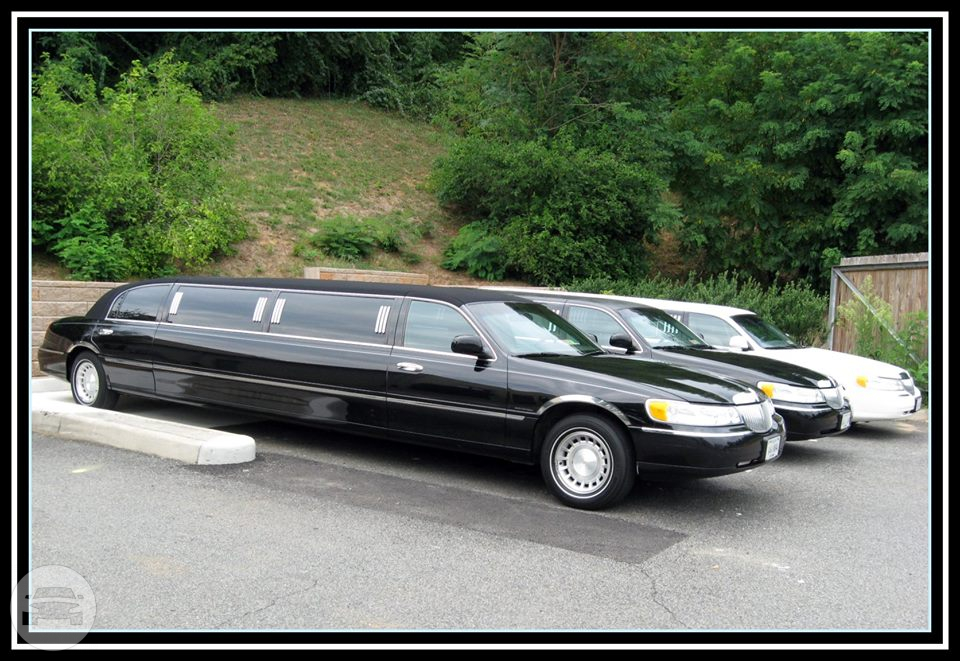 10 passenger Lincoln Towncar
Limo /
San Francisco, CA

 / Hourly $0.00
