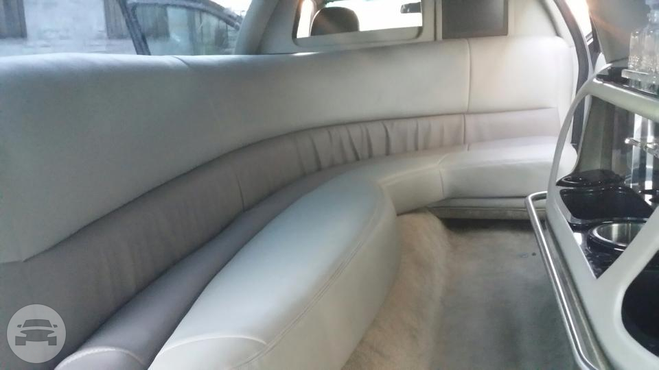 Lincoln Stretch Limousine - Silver
Limo /
Metairie, LA

 / Hourly $0.00

