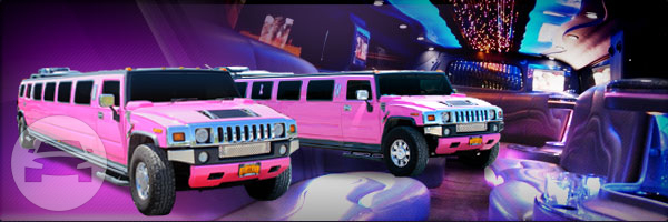 Pink Panther H2 Hummer Limo
Hummer /
Rochester, NY

 / Hourly $0.00
