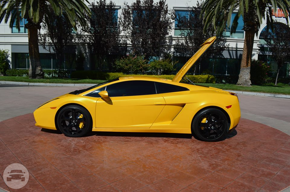 Lamborghini 
Sedan /
San Francisco, CA

 / Hourly $0.00
