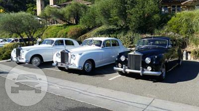Silver-Cloud Rolls Royce (White & Black)
Sedan /
San Francisco, CA

 / Hourly $0.00
