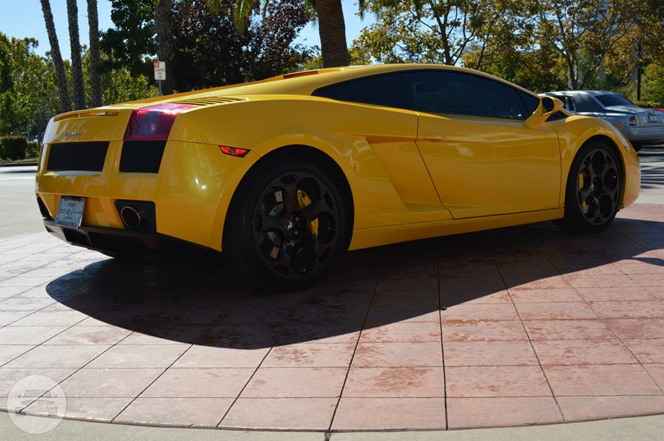 Lamborghini 
Sedan /
San Francisco, CA

 / Hourly $0.00
