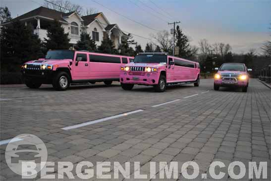 Hummer H2 – Pink Limo
Hummer /
Paterson, NJ

 / Hourly $0.00
