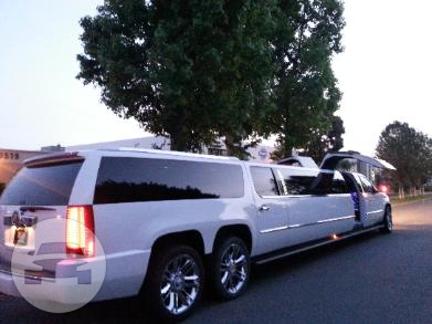 DOUBLE AXLE CADILLAC ESCALADE LIMOUSINE
Limo /
Pearl City, HI

 / Hourly $0.00
